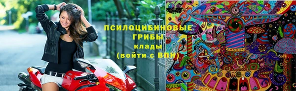 гидра Абаза