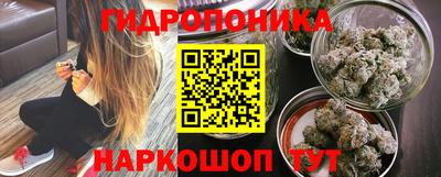 jwh Кимры