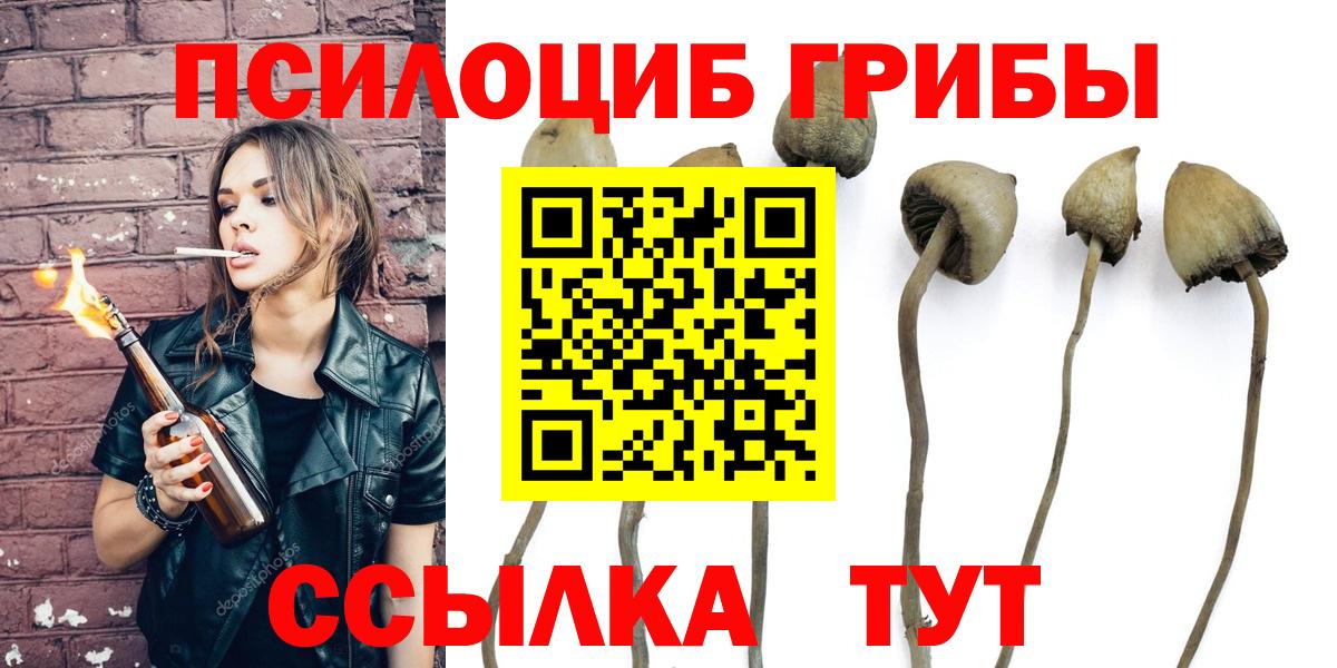 Псилоцибиновые грибы GOLDEN TEACHER Ишимбай